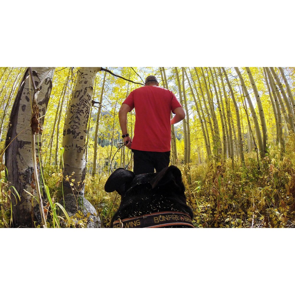 Кріплення для собак GoPro Fetch Dog Harness (Black)