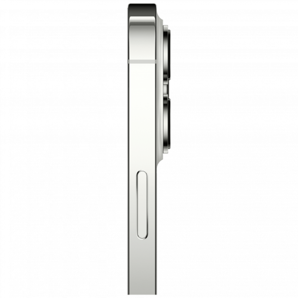 Apple iPhone 13 Pro Max 256 Gb (Silver)