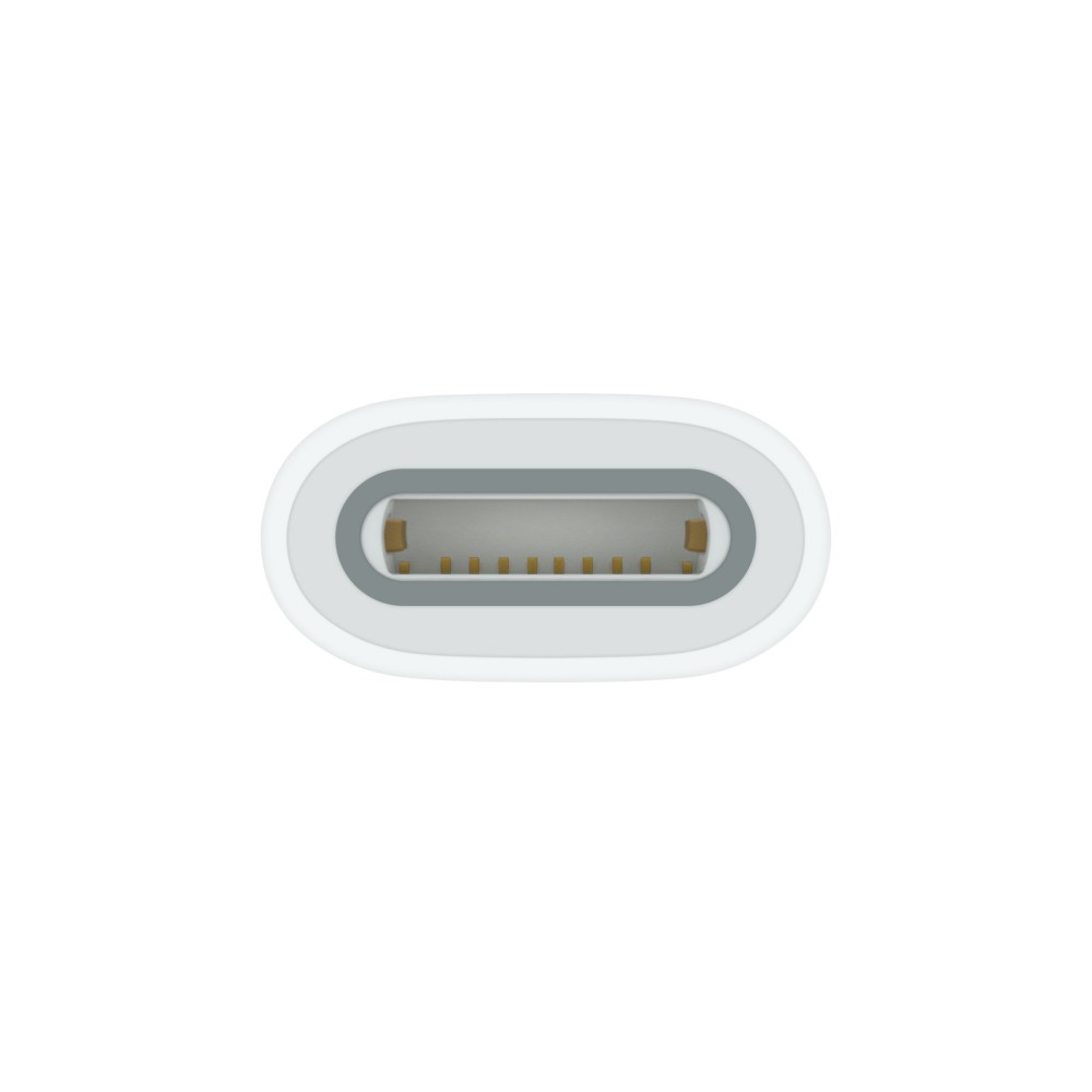 Адаптер USB-C to Apple Pencil Adapte (MQLU3)