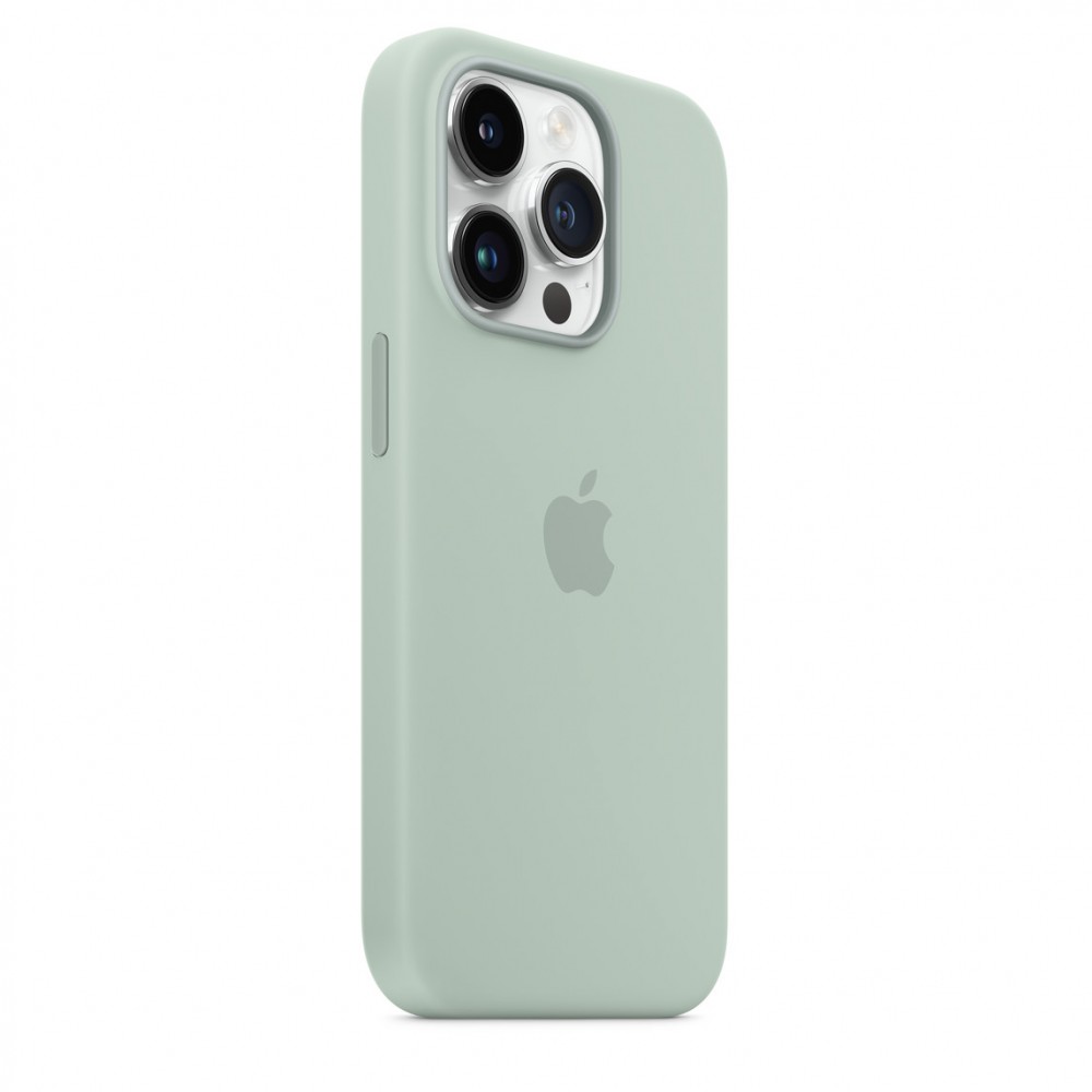 Apple Silicone case для iPhone 14 Pro Max with MagSafe (Succulent)