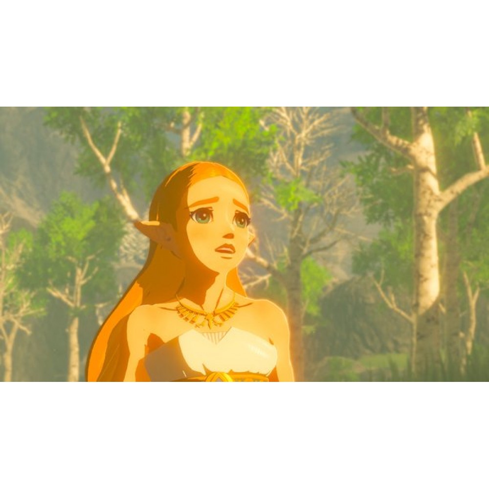 Гра The Legend of Zelda: Breath of the Wild (Nintendo Switch)