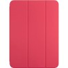 Чохол Apple Smart Folio для iPad (10th gen) Watermelon (MQDT3ZM/A)