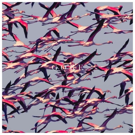 Вінілова платівка Deftones – Gore (Limited Edition) (2 LP)