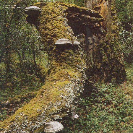 Вінілова платівка Jan Jelinek – Kosmischer Pitch (1 LP)
