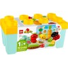 Конструктор LEGO DUPLO My First Органічний город (10984-)
