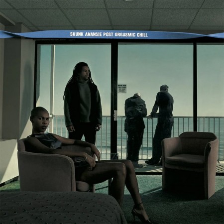 Вінілова платівка Skunk Anansie – Post Orgasmic Chill (1 LP)