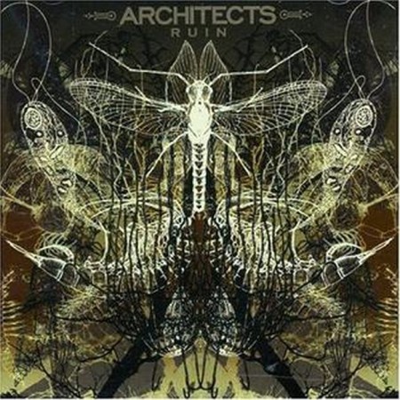 Вінілова платівка Architects – Ruin (1 LP)