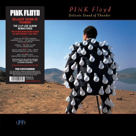 Вінілова платівка Pink Floyd – Delicate Sound Of Thunder (Remastered) (2 LP)