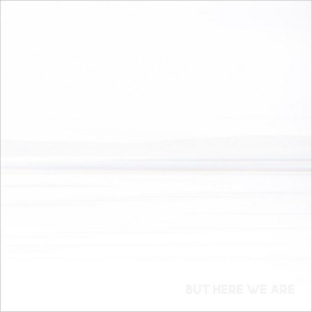 Вінілова платівка Foo Fighters – But Here We Are (1 LP)
