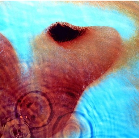 Вінілова платівка Pink Floyd – Meddle (1 LP)
