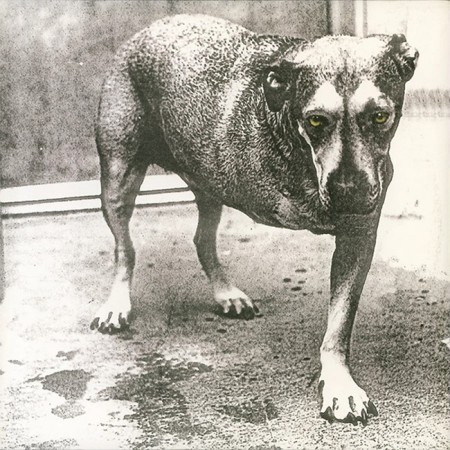 Вінілова платівка Alice In Chains – Alice In Chains (Anniversary Edition) (1 LP)