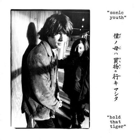 Вінілова платівка Sonic Youth – Hold That Tiger (2 LP)