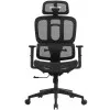Ергономічне крісло Proove White-collar (Black)