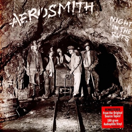 Вінілова платівка Aerosmith – Night In The Ruts (1 LP)