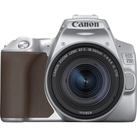 Фотоапарат Canon дзеркальна EOS 250D kit 18-55 IS STM Silver (3461C003)  у Чернівцях