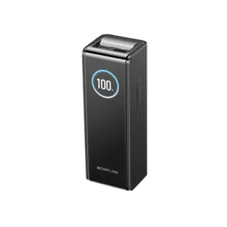 Павербанк EcoFlow RAPID Power Bank 25000mAh чорний