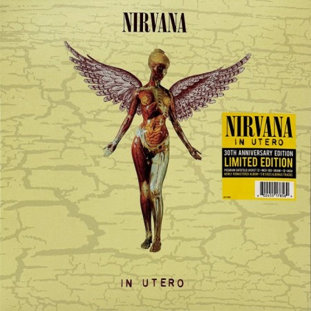 Вінілова платівка Nirvana – In Utero (Limited Edition, Remastered, 30th Anniversary) (2 LP)