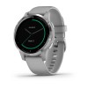 Смартгодинник Garmin Vivoactive 4S Powder Gray/Silver (010-02172-03)