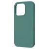 Чохол WAVE Full Silicone Cover для Apple iPhone 15 (Cactus) у Харкові