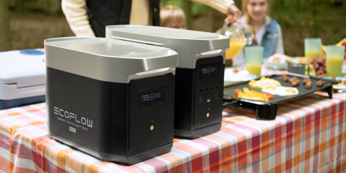eco flow delta max
