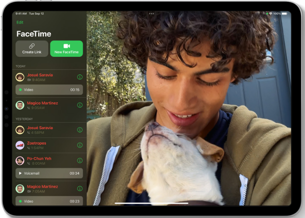 facetime iPadOS 17
